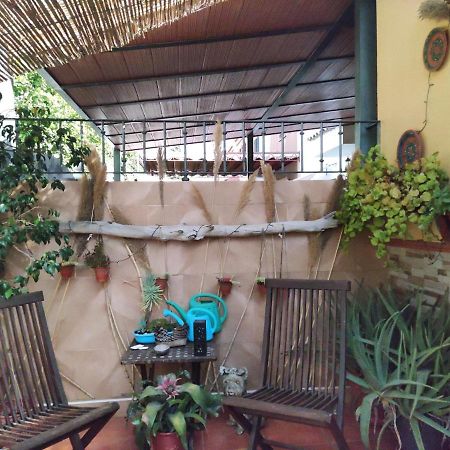 Cool Garden And Suite Mairena del Aljarafe Exterior photo