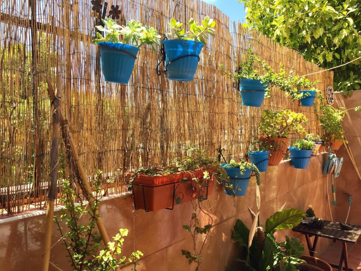 Cool Garden And Suite Mairena del Aljarafe Exterior photo