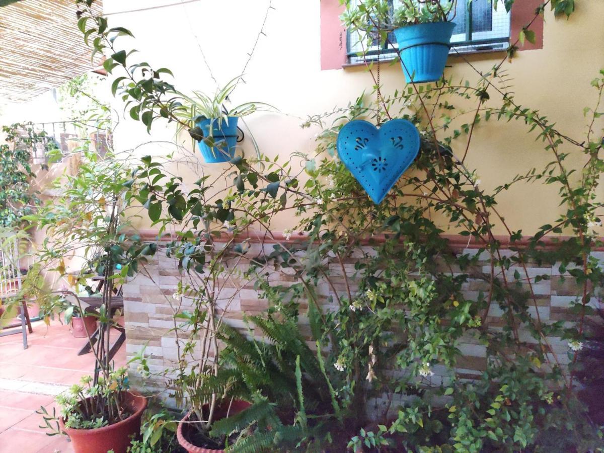 Cool Garden And Suite Mairena del Aljarafe Exterior photo